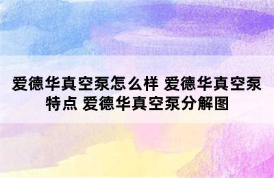 爱德华真空泵怎么样 爱德华真空泵特点 爱德华真空泵分解图